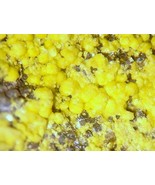 TYUYAMUNITE - Carnotite Group - Uranium - Vanadium Queen Mine, UTAH - $3,284.92 MXN