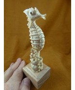 Seah-w1 Seahorse tail around coral of shed ANTLER figurine Bali detailed... - £184.78 GBP