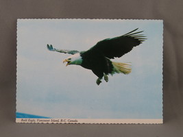 Vintage Postcard - Bald Eagle Vancouver Island Canada - Peacock Postcards - £12.02 GBP