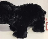 Douglas Cuddle Toys Charcoal the Black bear teddy plush black brown w/tag  - $4.94