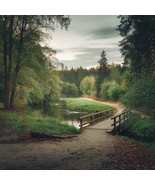 Tranquil Pathway Over the Stream : The magic of nature - $55.73 MXN