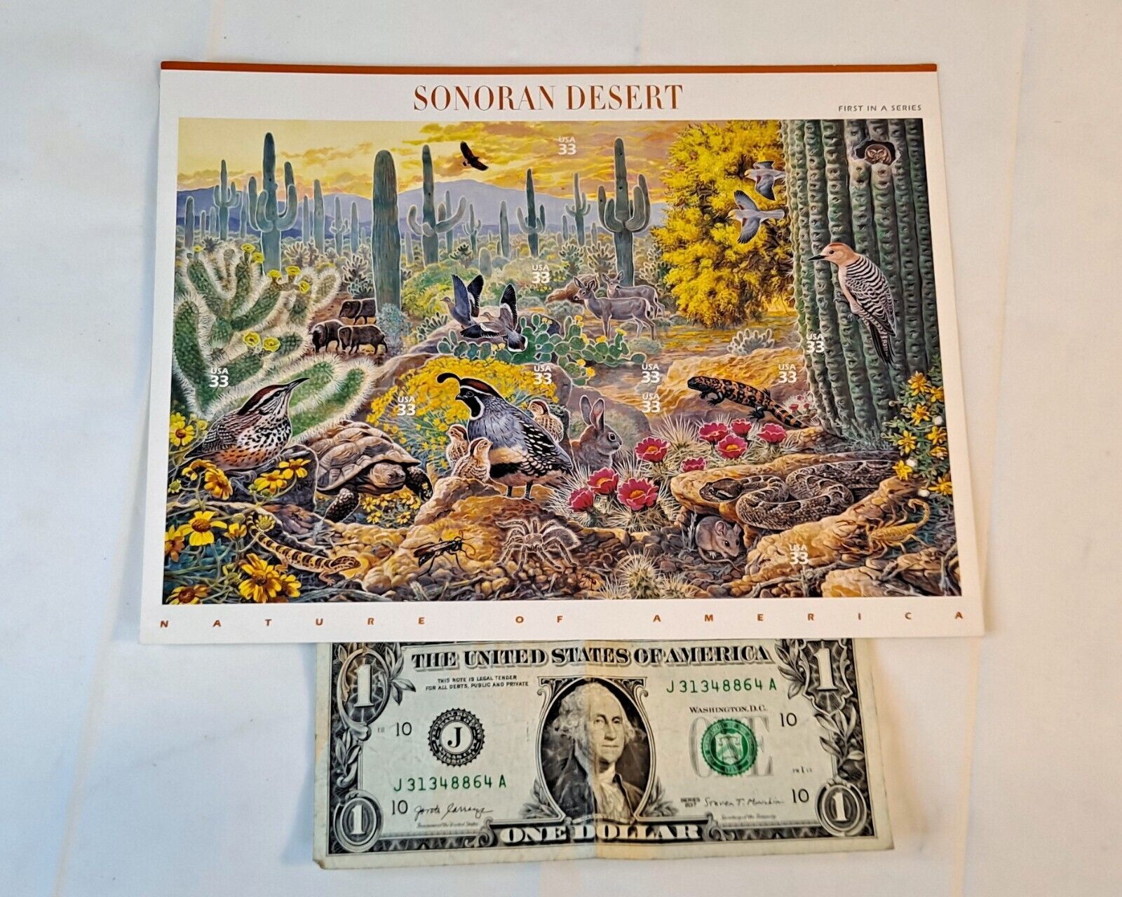 Primary image for Sonoran Desert USA Postage Stamps (1999 1st Sheet Issued in Series)