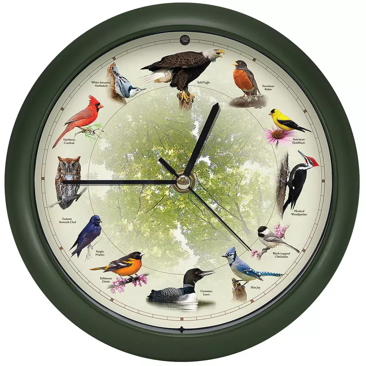 Singing Bird Clock - $49.00