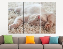 Cute Sleeping Cat Canvas Print Kitty Wall Art Sleepy Red Kitten Poster  Cat Love - £39.40 GBP