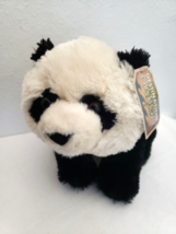 Aurora Destination Nation Panda Bear Plush Stuffed Animal 12&quot; Cream Black - £13.64 GBP