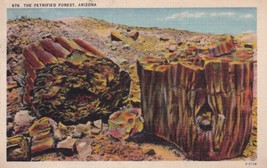 Petrified Forest Arizona AZ Logs 1939 R.P.O. Postcard A25 - £2.42 GBP