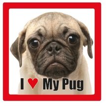 I Love My Dog Ceramic Photographic Square Coaster with Breed Name (Pug) - £2.54 GBP