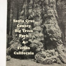 1935 Santa Cruz County Big Trees Park Souvenir Guide Santa Cruz California - £20.82 GBP