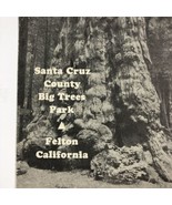 1935 Santa Cruz County Big Trees Park Souvenir Guide Santa Cruz California - £20.48 GBP