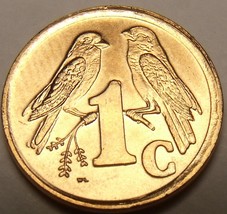 Südafrika 1996 Cent Edelstein UNC ~Spatzen~Nur Jahr Für Zulu Legende - $3.19