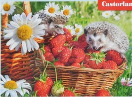 Castorland Strawberry Dessert 200 pc Jigsaw Puzzle Hedgehogs Flowers - £11.60 GBP