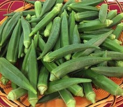 HGBO 50 Seeds Emerald Okra Seeds Heirloom Non Gmofresh From US - £6.54 GBP