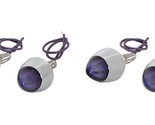 Purple Lighted Chrome Bullet License Plate Fasters Bolts Hot Rod Rat Str... - $2,006.82