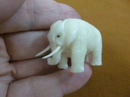 (tb-ele-25) African Elephant Tagua NUT palm figurine Bali carving safari zoo - £37.54 GBP