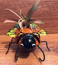 Tilla Critters Lady A One of a Kind Airplant Creations by Chili Fiesta H... - £11.76 GBP