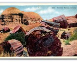 Petrified Forest Arizona AZ UNP WB Postcard N18 - $1.93