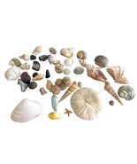 Lot Of An Assortment Of Different Seashells &amp; Stones 42 Pieces - $316.57 MXN