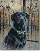 Ducks Unlimited Great Retrievers Black Dog Hunting Nature Metal Sign - $20.95