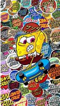 Santa Cruz Skateboards 12x8in Inches Aluminum Metal Sign Collage Thrasher M - $34.72 CAD