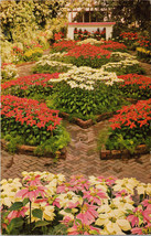 Poinsettia Show Missouri Botanical Gardens St. Louis Postcard PC411 - £3.91 GBP