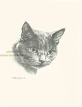 #114 RUSSIAN BLUE portrait *  cat art print * pen &amp; ink drawing by Jan J... - $12.50