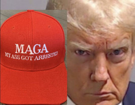MY ASS GOT ARRESTED Donald Trump INMATE P01135809 MAKE AMERICA GREAT AGA... - $17.47