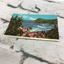Rhododendrons and The Blue Pacific Oregon Coast Vintage Postcard - $6.92