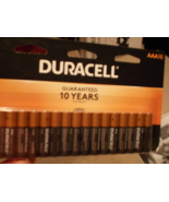 Duracell 4330209240 AAA Alkaline Batteries - 16 Count - $10.94