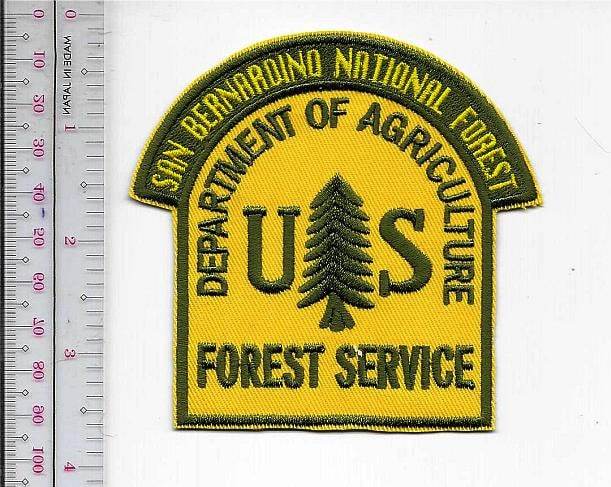 National Forest USFS California San Bernardino National Forest US Forest... - $9.99