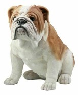 Lifelike Realistic English Bulldog Statue 14.5&quot;Tall Fine Pedigree Dog Breed - £133.71 GBP
