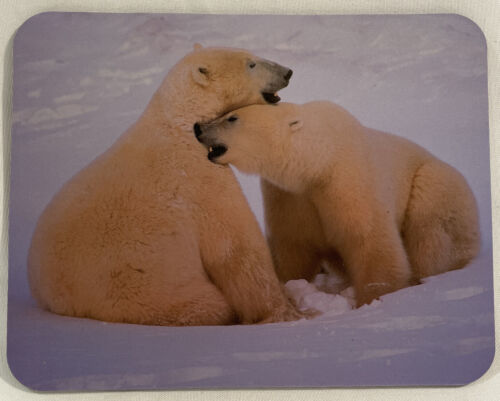 NEW polar bear mouse pad Desktop (7&quot; X 9&quot;) Aidata - $4.74