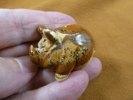 (Y-PIG-PO-561) tan Roly Poly PIG Piggy pot belly gemstone FIGURINE carving gem - £11.19 GBP