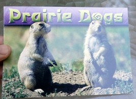 Praire Dogs  Scenic Selections  Postcard - $5.52