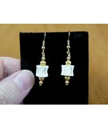 s819-2) Shark fish Modern Vertebrae gold tone dangle Earrings pair JEWEL... - $14.01