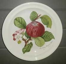 Portmeirion 8.5&quot; Salad Plate Pomona The Goddess Of Fruit The Hoary Morning Apple - £23.59 GBP