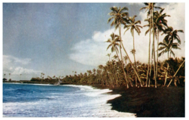 Kalapana Beach with black volcanic sands Hawaii Postcard - £4.12 GBP