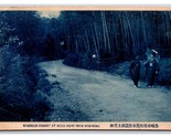 Bamboo Forest Mogi Road to Nagasaki Japan UNP Cyanotype DB Postcard K18 - $11.83