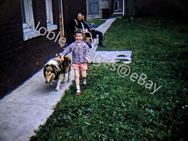 1958 Backyard Cute Girl with Collie Chicago Kodachrome 35mm Slide - £4.07 GBP