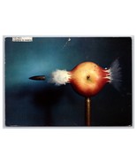 Bullet and Apple Science Dr Harold Edgerton Experiment Continental Postc... - €3,32 EUR