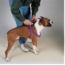 50 Pack Dog Harnesses Bulk Wholesale Assorted Colors Vet Rescue Shelter Safety ( - £275.69 GBP+