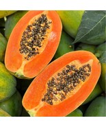 BS 50 Red Heart Creamy Papaya Seeds The Best Of Papayas For Your Home Ga... - €8,85 EUR