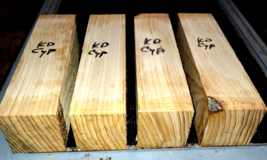 One (1) Kiln Dried Bald Cypress Bowl Blanks Turning Lumber Wood 3&quot; X 3&quot; X 12&quot; - $29.65