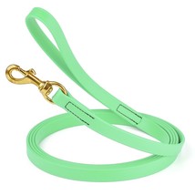 Dog Pet Leash Sea Foam Green w/ Brass Hardware W 3/4&quot; - L10&#39; - £37.77 GBP