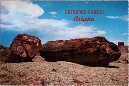 Petrified Forest National Park Northern Arizona Petley Postcard  - £4.12 GBP