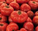 Vr Moscow Tomato Seeds 20 Determinate Vegetable Garden Canning Fast Ship... - $8.99