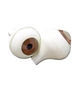 Life Size Adult Human FULL ROUND EYEBALLS w/STEM Body Parts Prop Doll Ey... - $138.39 MXN