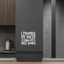 I Promise I&#39;m Nicer Than My face Looks Vinyl Decal Sticker Custom Wall M... - $9.79