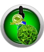 Green Tea (Camellia Sinensis) Absolute Essential Oil - €5,11 EUR+