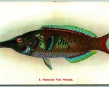 Hawaiian Fish Hinalea Hawaiian Curio Company HI HT UNP PMC Postcard E13 - $16.78