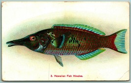 Hawaiian Fish Hinalea Hawaiian Curio Company HI HT UNP PMC Postcard E13 - £13.14 GBP